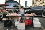 Malaysia mulai berlakukan larangan ekspor ayam mulai Juni 2022