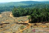 Perubahan iklim dan bencana hidrologi ancam lingkungan sekitar