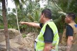 Pemprov Sulteng  normalisasi Sungai Dondo cegah banjir bandang