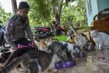 Agus Wahyudi, memberikan pakan kepada kucing di Rumahnya Desa Karanganyar, Kecamatan Cijengjing, Kabupaten Ciamis, Jawa Barat, Selasa (7/6/2022). Sejak tahun 2018 Agus, personel Polres Ciamis yang berpangkat Adeng BustomiBripka itu merawat puluhan ekor kucing berpenyakit yang ditemukan di jalan hingga sembuh meski harus menghabiskan biaya Rp50 ribu per hari dan memberikan pakan kepada kucing liar saat pulang dan berangkat kerja. ANTARA FOTO/Adeng Bustomi/foc.