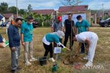 Pemkot Prabumulih-BCA lakukan penghijauan dengan menanam 200 bibit pohon
