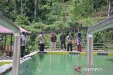 Objek wisata Mudiak Lugha Silungkang Sawahlunto mendapat omset puluhan juta