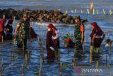 Anggota TNI menanam mangrove bersama sejumlah siswa Saat kegiatan Bakti Sosial di Karangsong, Indramayu, Jawa Barat, Jumat (10/6/2022). Bakti Sosial dengan tema Touring and Sail Sekeseler Siliwangi itu digelar dalam rangka HUT Kodam III/Siliwangi. ANTARA FOTO/Dedhez Anggara/agr