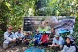 Kisah Yusran, Lestarikan Burung Maleo Secara Mandiri di Banggai