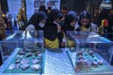 Siswa mengamati koleksi fosil purba saat Pameran Kebudayaan dan Fosil Tambaksari dalam rangkaian hari jadi ke-380 Ciamis di Alun-alun Kabupaten Ciamis, Jawa Barat, Sabtu (11/6/2022). Pameran yang menampilkan koleksi fosil satwa, fauna hingga manusia purba itu diselenggarakan oleh Disbudpora Kabupaten Ciamis untuk mengenalkan sejarah Ciamis kepada masyarakat. ANTARA FOTO/Adeng Bustomi/agr