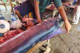 Mengenal macam olahan ikan tuhuk di Pesisir Barat Lampung