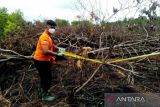 Antisipasi karhutla, DLH Palangka Raya gandeng pengusaha