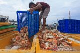 Pekerja mengumpulkan rajungan hasil tangkapan nelayan di Karangsong, Indramayu, Jawa Barat, Selasa (14/6/2022). Nelayan mengeluhkan harga rajungan yang anjlok dari harga Rp130 ribu per kilogram menjadi Rp60 ribu per kilogram karena permintaan ekspor ke pasar Amerika dan Eropa berkurang. ANTARA FOTO/Dedhez Anggara/agr
