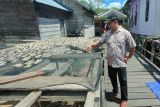 Dinilai potensial, DPRD dorong pemkab bantu pemasaran usaha ikan kering di Mantangai