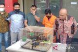 Polisi tangkap penjual burung beo nias di Palembang