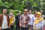 Walhi Sulteng  minta pembukaan lahan di Donggala tidak merusak hutan