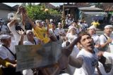 Sejumlah warga saling berebut uang yang dilemparkan saat tradisi Mesuryak dalam perayaan Hari Raya Kuningan di Desa Bongan Gede, Tabanan, Bali, Sabtu (18/6/2022). Tradisi dalam rangka perayaan Hari Raya Kuningan tersebut bertujuan mengantarkan roh para leluhur kembali ke surga dengan rasa suka cita. ANTARA FOTO/Nyoman Hendra Wibowo/nym.
