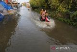 Pengendara kendaraan bermotor melintasi banjir rob di Karangsong, Indramayu, Jawa Barat, Senin (20/6/2022). Banjir rob yang disebabkan pasang air laut merendam jalan dan puluhan rumah warga yang berada di pesisir pantai. ANTARA FOTO/Dedhez Anggara/agr