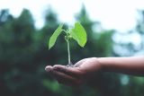 HM Sampoerna raih Sustainability Business Award Tahun 2021/2022