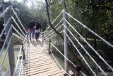 CHANDRA ASRI HADIRKAN EDU - EKOWISATA MANGROVE. Pengunjung melintas di atas jembatan Kilapis yang ada di kawasan Edu Ekowisata Mangrove Patikang Lestari di Citeureup, Panimbang, Pandeglang, Banten, Senin (20/6/2022). Pengembangan wisata mangrove yang dihadirkan oleh PT Chandra Asri Petrochemical Tbk (Chandra Asri) bekerjasama dengan POKDARWIS (Kelompok Sadar Wisata) Putri Gundul Kampung Patikang merupakan langkah nyata perusahaan dalam mendukung upaya pemerintah menuju Net Zero Emission di Indonesia melalui penanaman mangrove untuk memaksimalkan blue carbon sebagai bagian dari proses dekarbonisasi. ANTARA FOTO/Muhammad Iqbal