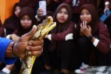 Relawan memberikan contoh penangkapan ular saat digelar edukasi snake rescue kepada anggota Pramuka Madrasah Aliyah Fatwa Alim di Tulung, Saradan, Kabupaten Madiun, Jawa Timur, Selasa (21/6/2022). Komunitas Exotic Animal Lovers Indonesia (Exalos Indonesia) bersama petugas pemadam kebakaran menggelar kegiatan tersebut untuk mengedukasi anggota pramuka tentang penanganan ular bila berkonflik dengan manusia tanpa harus membunuh. ANTARA Jatim/Siswowidodo/zk