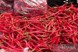 Harga cabai merah di Sumut Rp100.000