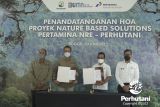 Proyek NBS hasilkan kredit karbon 11,6 juta ton per tahun