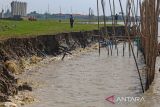 Perangkat desa melihat kondisi abrasi yang terjadi di bibir pantai desa Dadap, Juntinyuat, Indramayu, Jawa Barat, Kamis (23/6/2022). Abrasi sepanjang dua kilometer itu terjadi akibat gelombang tinggi musim angin timur dan mengancam puluhan hektar area pemukiman dan pertanian di desa itu. ANTARA FOTO/Dedhez Anggara/agr