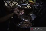 Barista kopi dari kelompok tani cinta bumi junior binaan Kantor Perwakilan Bank Indonesia (KPw BI) Tasikmalaya menunjukan kopi hasil roastingan di Bukit Damai Indah, Desa Cintakarya, Kabupaten Pangandaran, Jawa Barat, Sabtu (25/6/2022). Jumlah produksi biji kopi yang dikelola oleh petani di Pangandaran mencapai 253 ton per tahun dari luas lahan 609 hektare, yang terdiri 292 hektare lahan milik negara dan 317 hektare lahan perkebunan rakyat. ANTARA FOTO/Adeng Bustomi/agr