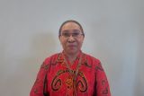 Tingkat hunian kamar di Papua turun 32,98 persen Mei 2022
