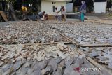 Pekerja menjemur sirip ikan hiu di Indramayu, Jawa Barat, Minggu (3/7/2022). Menurut pengusaha, permintaan sirip ikan hiu dari berbagai negara seperti Hongkong, Tiongkok dan Singapura mulai meningkat dengan harga jual seharga Rp250 ribu per kilogram hingga Rp1,8 juta per kilogram tergantung ukuran dan kualitas. ANTARA FOTO/Dedhez Anggara/agr
