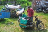 Jasa Ojek Kambing