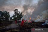 Dishut: 67 persen wilayah Sumsel masuk kategori kerawanan tinggi karhutla