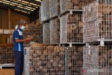 PT APK mengekspor 162 ton serpih porang kering ke China 