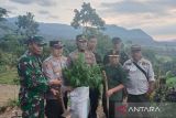 Tim kembali temukan ladang ganja baru di Gunung Karuhun