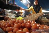 Harga telur ayam naik di Makassar