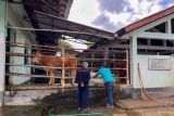 RPH Giwangan Yogyakarta melayani penyembelihan hewan kurban hingga Rabu