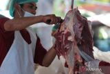 Pekerja memotong daging hewan kurban milik warga di Perusahaan Daerah (PD) Rumah Potong Hewan (RPH) Surabaya, Jawa Timur, Sabtu (9/7/2022). Perusahaan daerah tersebut menerima layanan pemotongan hewan kurban sekaligus pengemasan daging kurban dari masyarakat sampai empat hari kedepan dan sampai saat ini telah ada sekitar 168 ekor sapi dan 17 ekor kambing yang siap dipotong. ANTARA Jatim/Didik Suhartono/zk