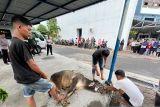 Jaga semangat silaturrahmi, Dishub Sumbar selenggarakan kurban 1443 H