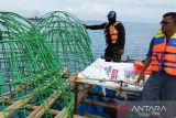 PT Timah tenggelamkan ribuan terumbu karang buatan di laut Bangka