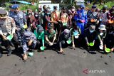 Sejumlah Forpimda  Banyuwangi  melepasliarkan tukik di Pantai Cemara, Banyuwangi, Jawa Timur, Kamis (14/7/2022). Pengelola pantai mengatakan saat ini merupakan musim penyu mendarat untuk bertelur dan sudah terkumpul sebanyak 38 sarang telur penyu yang ditetaskan secara semi alamiah di lokasi tersebut.  ANTARA Jatim/Budi Candra Setya/zk