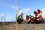 Prajurit TNI AD Kodim 0825 Banyuwangi bersama siswa menanam bibit pohon cemara udang di Pantai Cemara, Banyuwangi, Jawa Timur, Kamis (14/7/2022). Kodim 0825 Banyuwangi  bekerjasama dengan Pelindo III mengajak sejumlah mahasiswa dan siswa sekolah menanam 5ribu bibit cemara dan mangrove sebagai upaya edukasi dan merawat hutan kota yang terkena dampak abrasi. ANTARA Jatim/Budi Candra Setya/zk