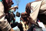 Prajurit TNI AD Kodim 0825 Banyuwangi bersama siswa menanam bibit pohon cemara udang di Pantai Cemara, Banyuwangi, Jawa Timur, Kamis (14/7/2022). Kodim 0825 Banyuwangi  bekerjasama dengan Pelindo III mengajak sejumlah mahasiswa dan siswa sekolah menanam 5ribu bibit cemara dan mangrove sebagai upaya edukasi dan merawat hutan kota yang terkena dampak abrasi. ANTARA Jatim/Budi Candra Setya/zk