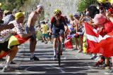 Tour de France - Tom Pidcock menangi etape 12 di Alpe d'Huez, Vingegaard tetap kaus kuning