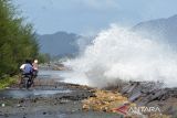 Kendaraan melintasi jalan pantai saat berlangsung gelombang tinggi di daerah pesisir Kampung Jawa, Banda Aceh, Aceh, Jumat (15/7/2022). Badan Meteorologi, Klimatologi dan Geofisika (BMKG) memperingatkan kapal nelayan, kapal tongkang, kapal ferry, kapal kargo serta kapal pesiar agar mewaspadai tinggi gelombang 1,25 hingga 2,50 meter di perarian Selat Melaka, sedangkan tinggi gelombang  2,50 hingga 4 meter di perairan Utara Sabang, perarian Barat Aceh, perarian Pulau Simeulue dan Samudera Hindia Barat Aceh hingga kepulauan Nias yang berpeluang terjadi hingga tanggal 17 Juli 2022. ANTARA FOTO/Ampelsa.