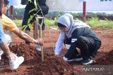 Kawasan Industri Terpadu Batang ditanami 1.000 trembesi