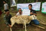 ALAMI dan Dompet Dhuafa sebar hewan kurban hingga daerah pelosok Banten