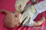 Petugas kesehatan memberikan vaksin polio dengan cara diteteskan kepada anak saat berlangsung imunisasi di Posyandu, Kuta Alam, Banda Aceh, Aceh, Selasa (19/7/2022). Dinas Kesehatan Provinsi Aceh menyatakan, cakupan Imunisasi Dasar Lengkap (IDL) anak dalam lima tahun terus menurun  dan tercatat  tahun 2017 capaian imunisasi 59,7 persen, tahun 2018  turun menjadi 58 perrsen, tahun 2019 mencapai 48,9 persen, tahun 2020 mencapai 42,7 persen dan tahun 2021 turun lagi menjadi 38,4 persen karena rendahnya kesadaran masyarakat terhadap pentingnya imuniasasi . ANTARA FOTO/Ampelsa.