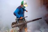 Dinkes OKU lakukan pengasapan di daerah rawan DBD
