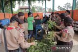 DLH Solok berikan pelatihan olah sampah organik ke peserta Jamnas 0310 Pramuka Kota Solok