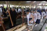 Warga menumbuk padi bersama saat perayaan adat Seren taun di Cigugur, Kuningan, Jawa Barat, Jumat (22/7/2022). Tradisi Seren taun ini merupakan perwujudan atas rasa syukur masyarakat Cigugur yang mayoritas petani terhadap karunia sang pencipta dan dirayakan pada 22 Raya Agung tahun Saka Sunda. ANTARA FOTO/Dedhez Anggara/nym.