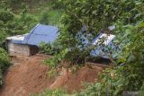 Di Jambi, tiga penambang emas ilegal tewas di lubang sedalam 40 meter