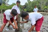 Pelajar sekolah dasar  diajak menanam bibit mangrove di Pantai Donggala