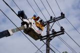 PLN UID Lampung gelar Bakti PDKB, maksimalkan pemeliharaan jaringan tanpa padam