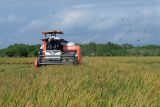 Petani memanen padi menggunakan mesin pemanen padi (combine harvester) di Jembrana, Bali, Rabu (27/7/2022). Sebagian besar petani di Kabupaten Jembrana telah memanfaatkan mesin pemanen padi karena dinilai lebih efisien. ANTARA FOTO/Nyoman Hendra Wibowo/nym.